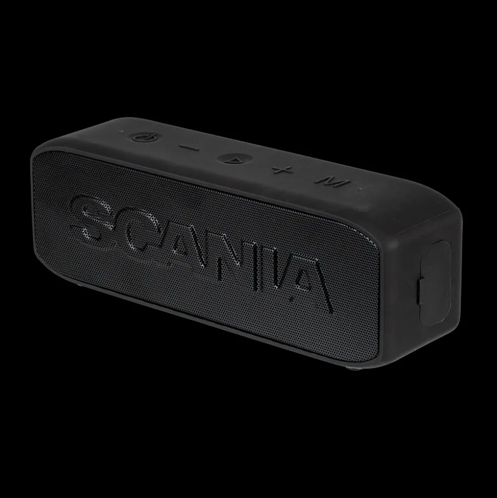 gonik_scania_0.webp Głośniki^Scania Głośnik