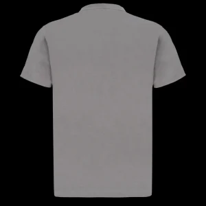 T-shirty^Scania Męski T-shirt Basic, z Wordmark, kolor szary (Stone Grey)