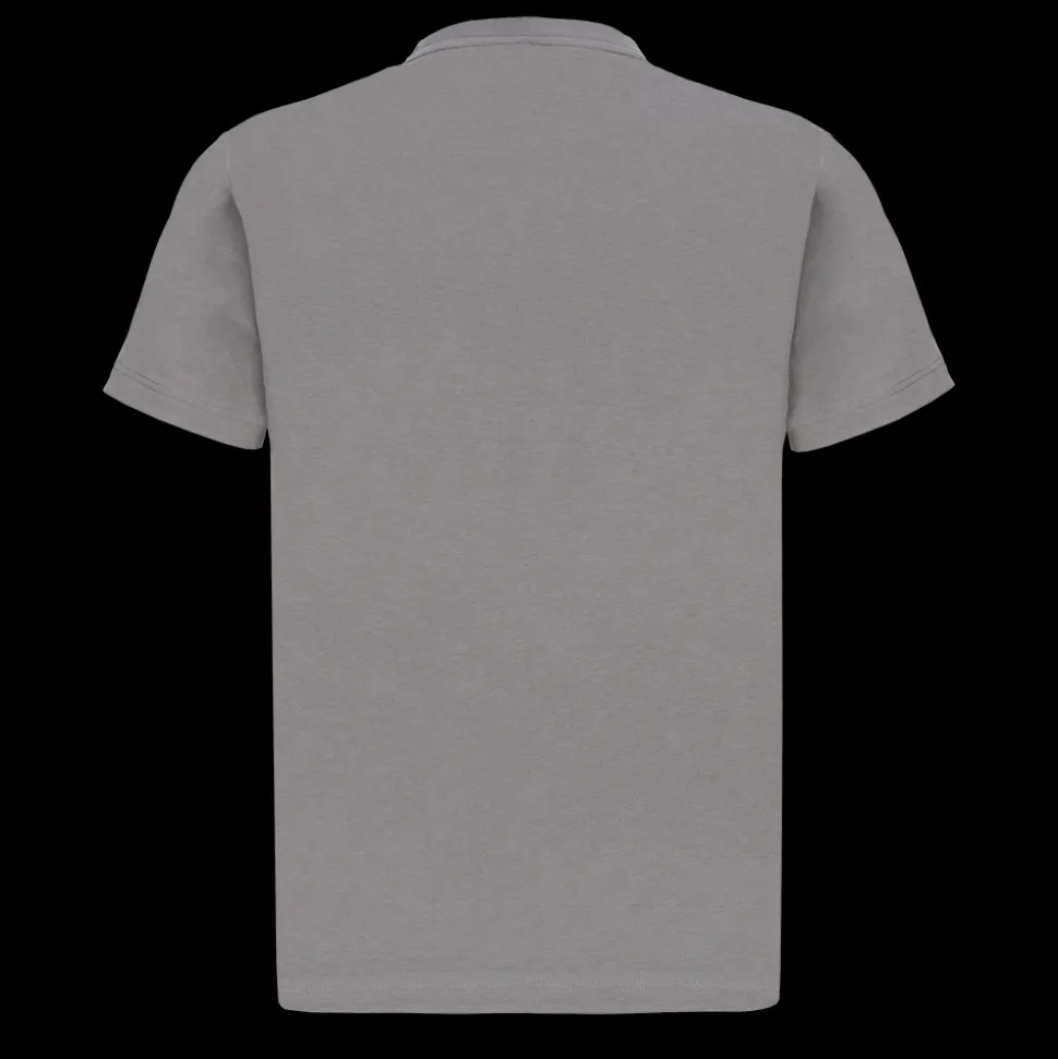 T-shirty^Scania Męski T-shirt Basic, z Wordmark, kolor szary (Stone Grey)
