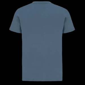 T-shirty^Scania Męski T-shirt Grand Griffin Duo w kolorze niebieskim